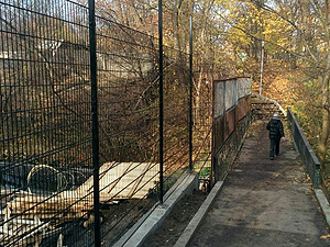 Забор зоопарка в Калининграде