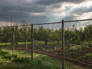 Главный дачный защитник — кладочная металлическая сетка